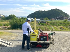 SWS調査
